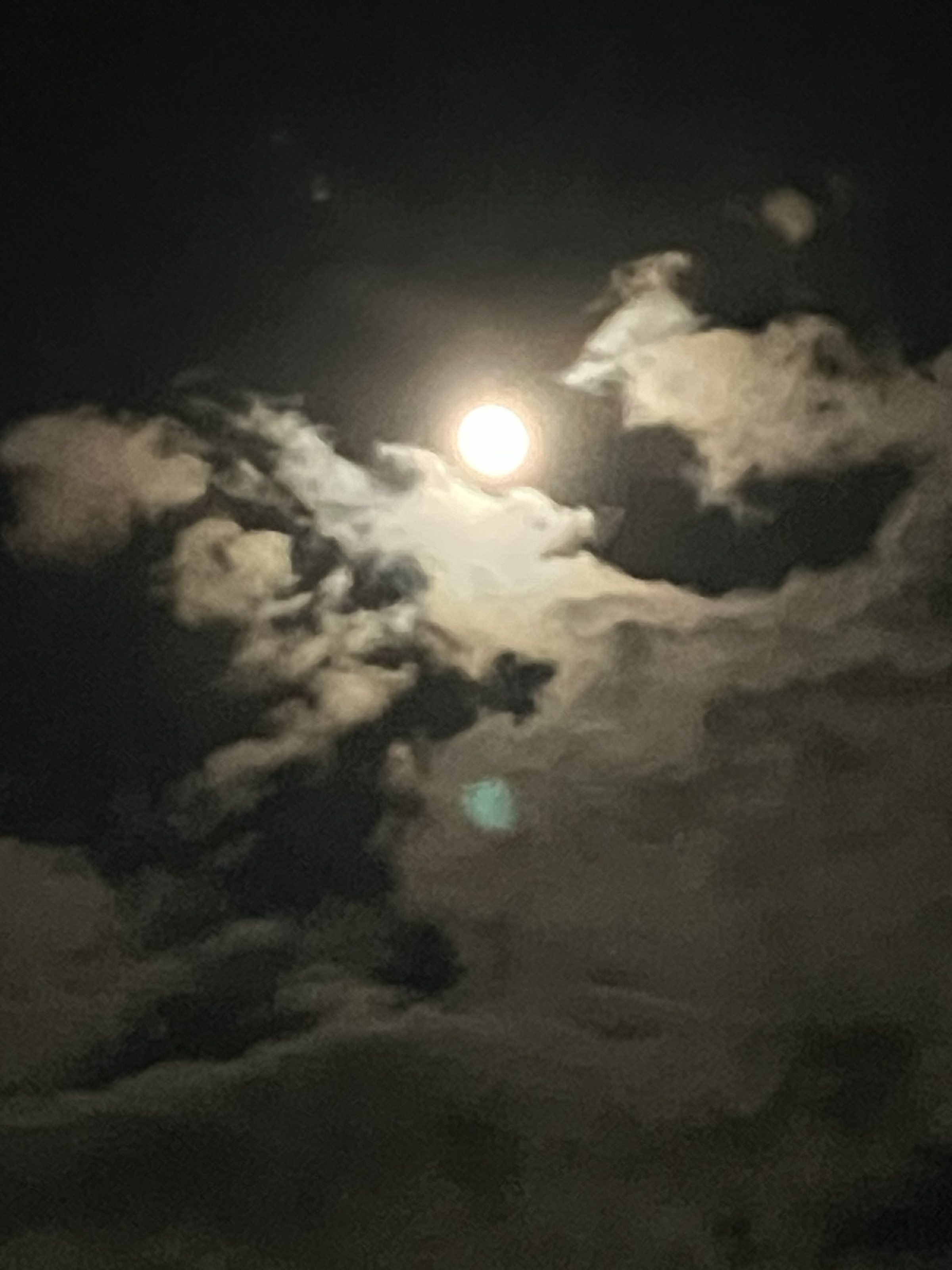 中秋の名月