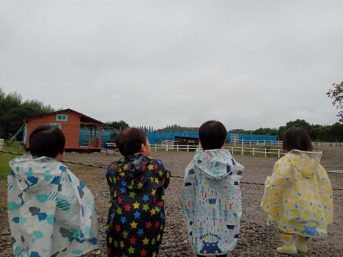 tmp_1665859254407.jpg