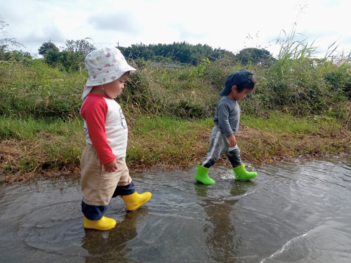 DSC_0438.jpg