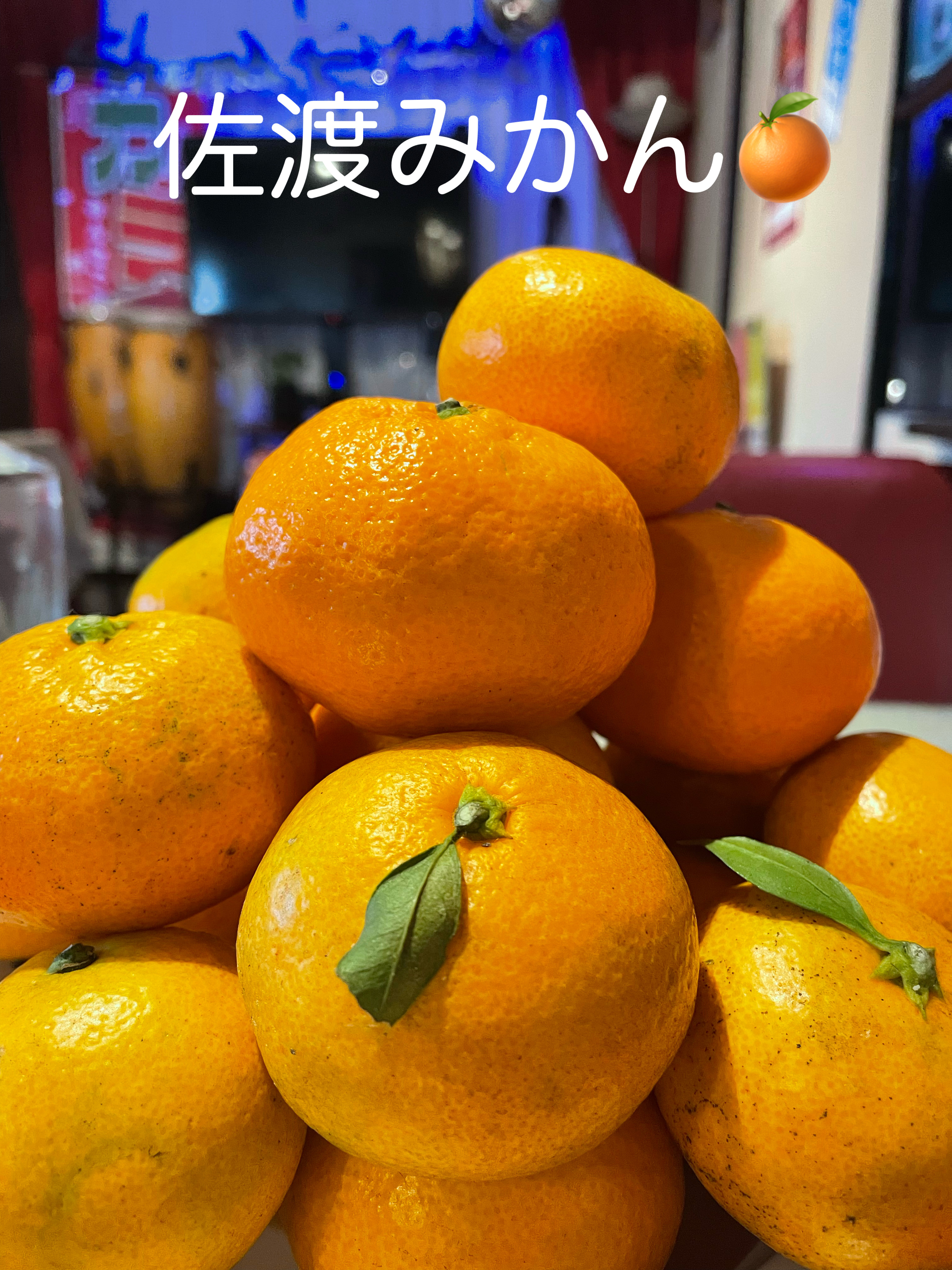 佐渡産みかん🍊