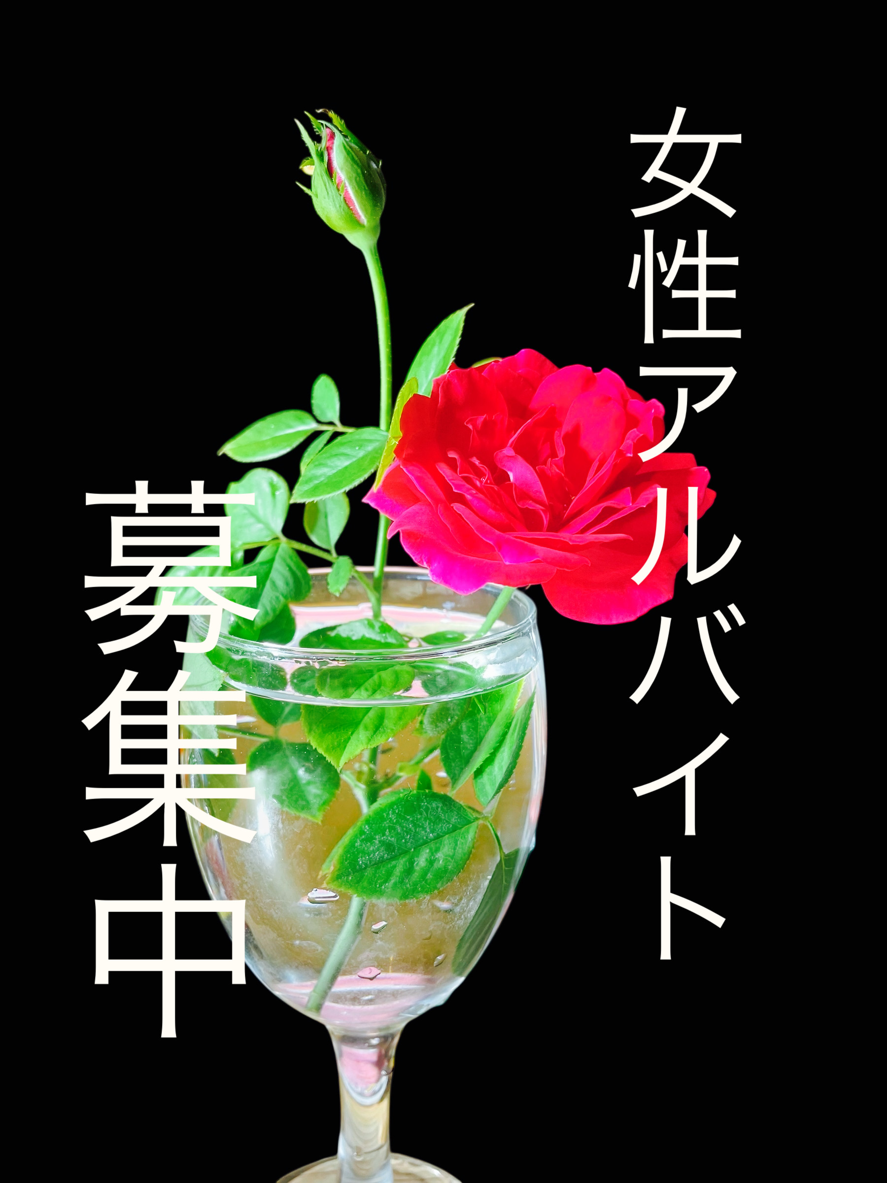 女性スタッフ募集中