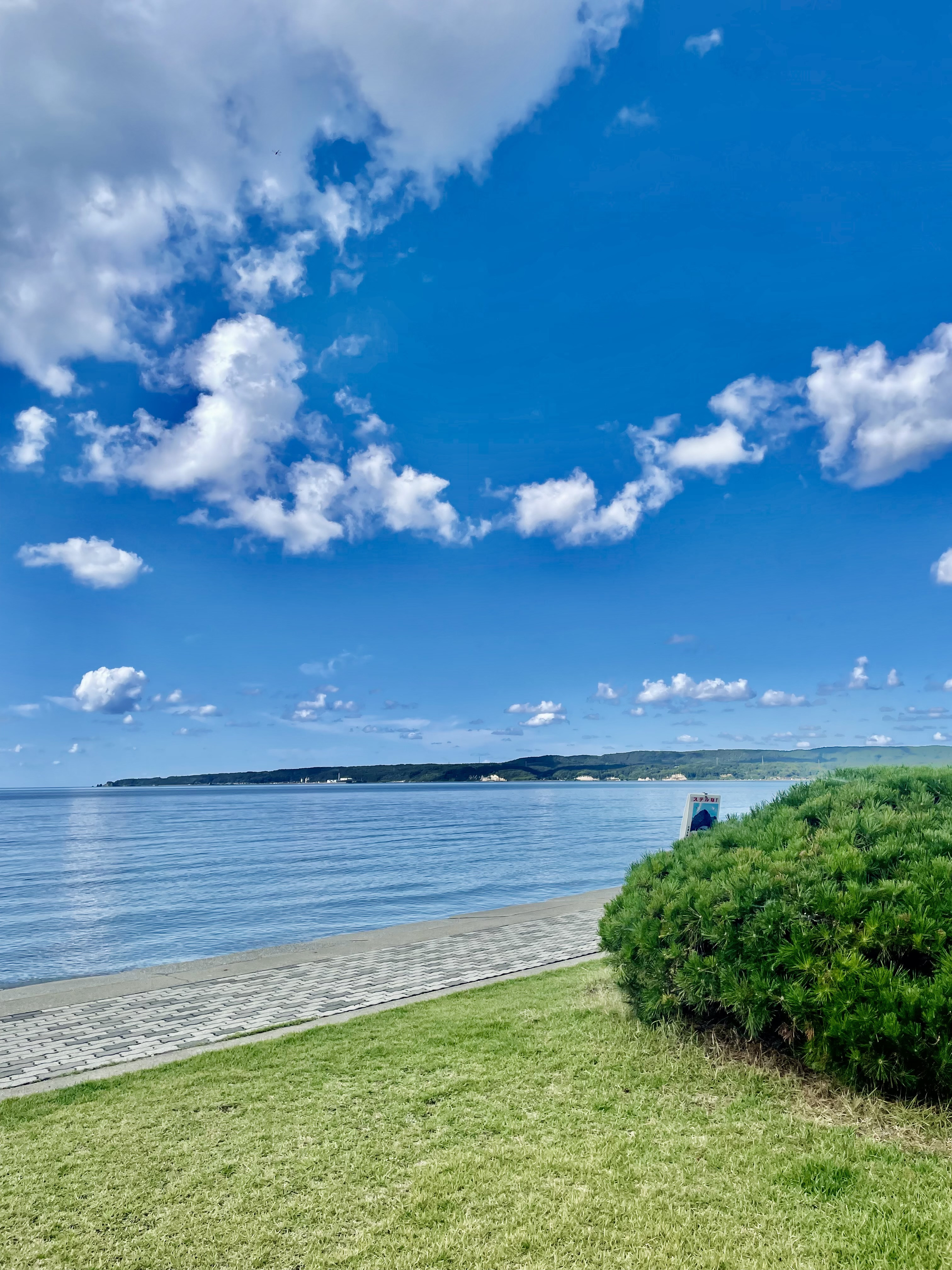 【超お得:マル特:】佐渡旅行がお得になるチャンス！:船::ピカピカ:フェリー・宿泊・移動手段が全部セットに！ 佐渡汽船の「お得な乗船券付き宿泊パック」をご予約いただくと、島内の飲食店22店舗で使える「