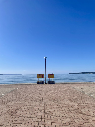 春の陽射しとなりました