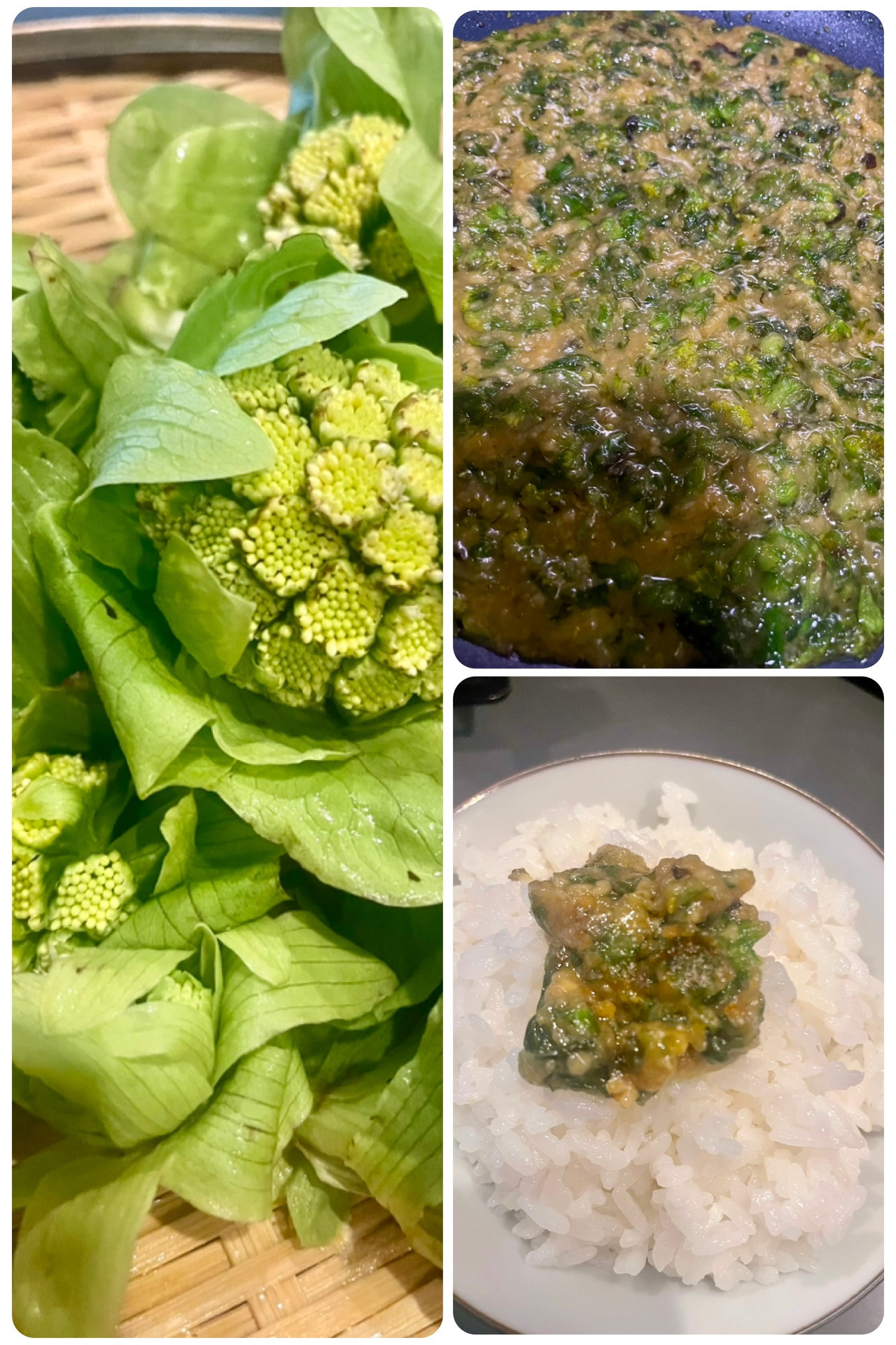 春の山菜シーズン到来