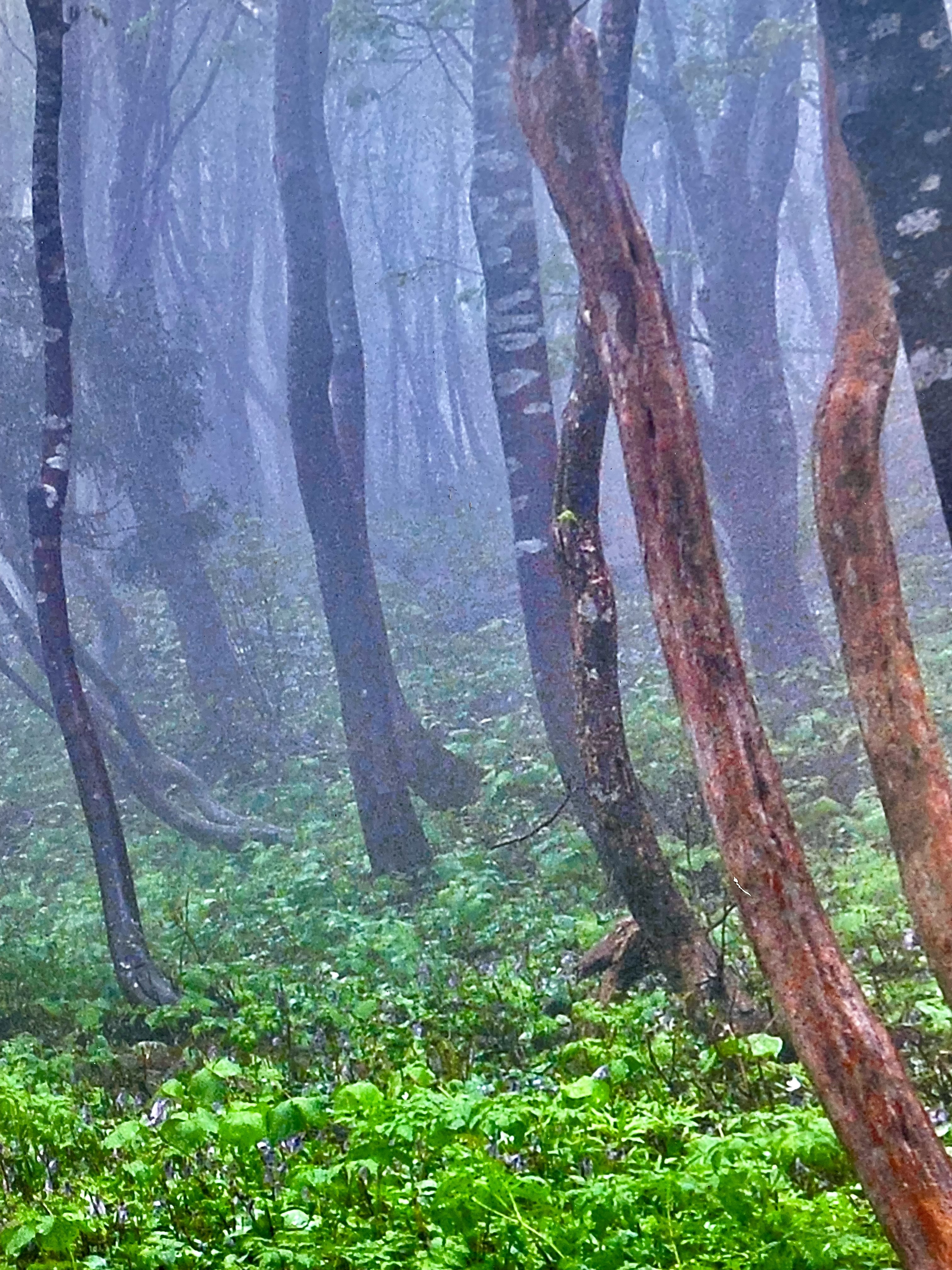 しまちゃん看板の下にある