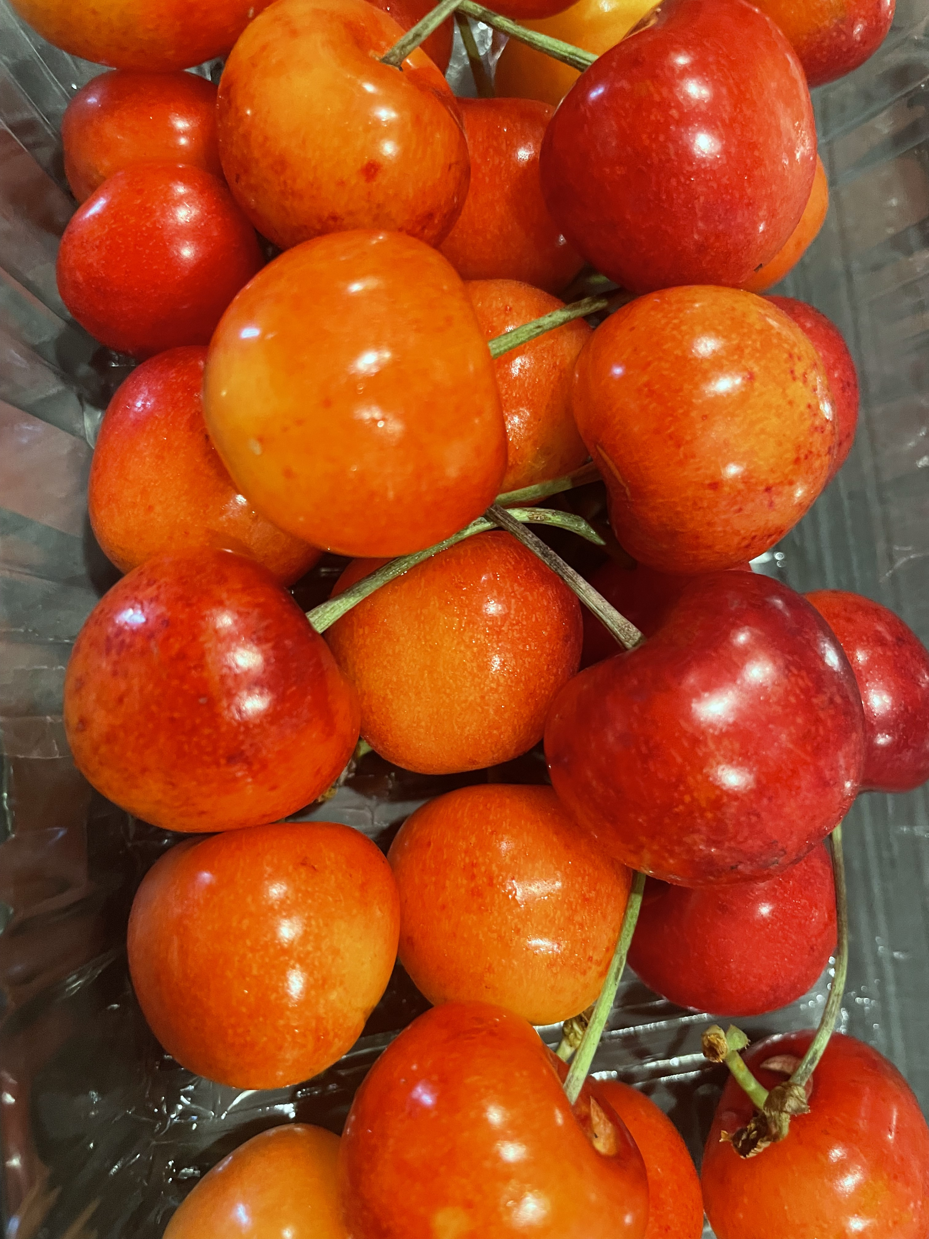 佐渡産さくらんぼ🍒