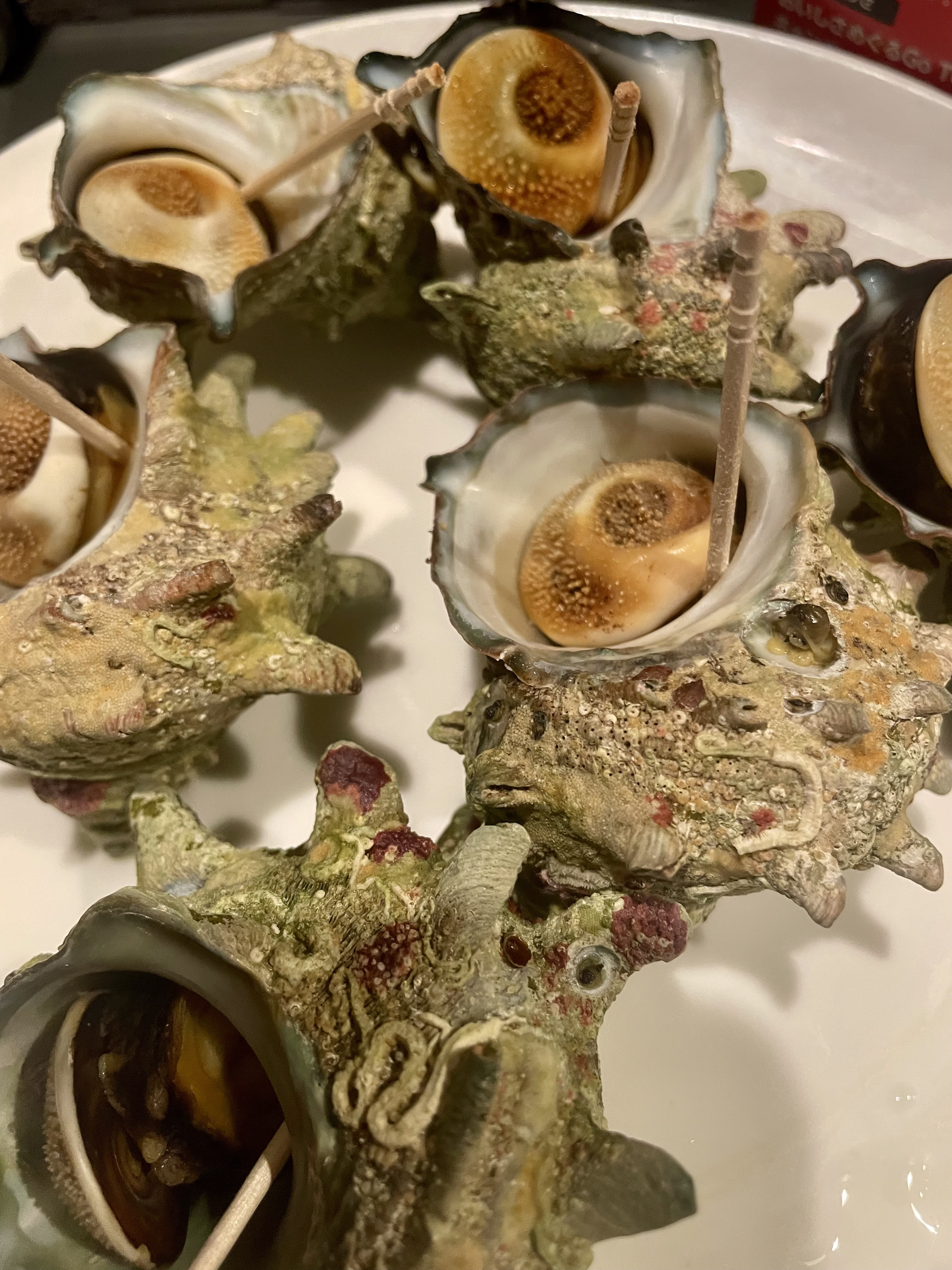 海の恵み、サザエの季節がやってきました！