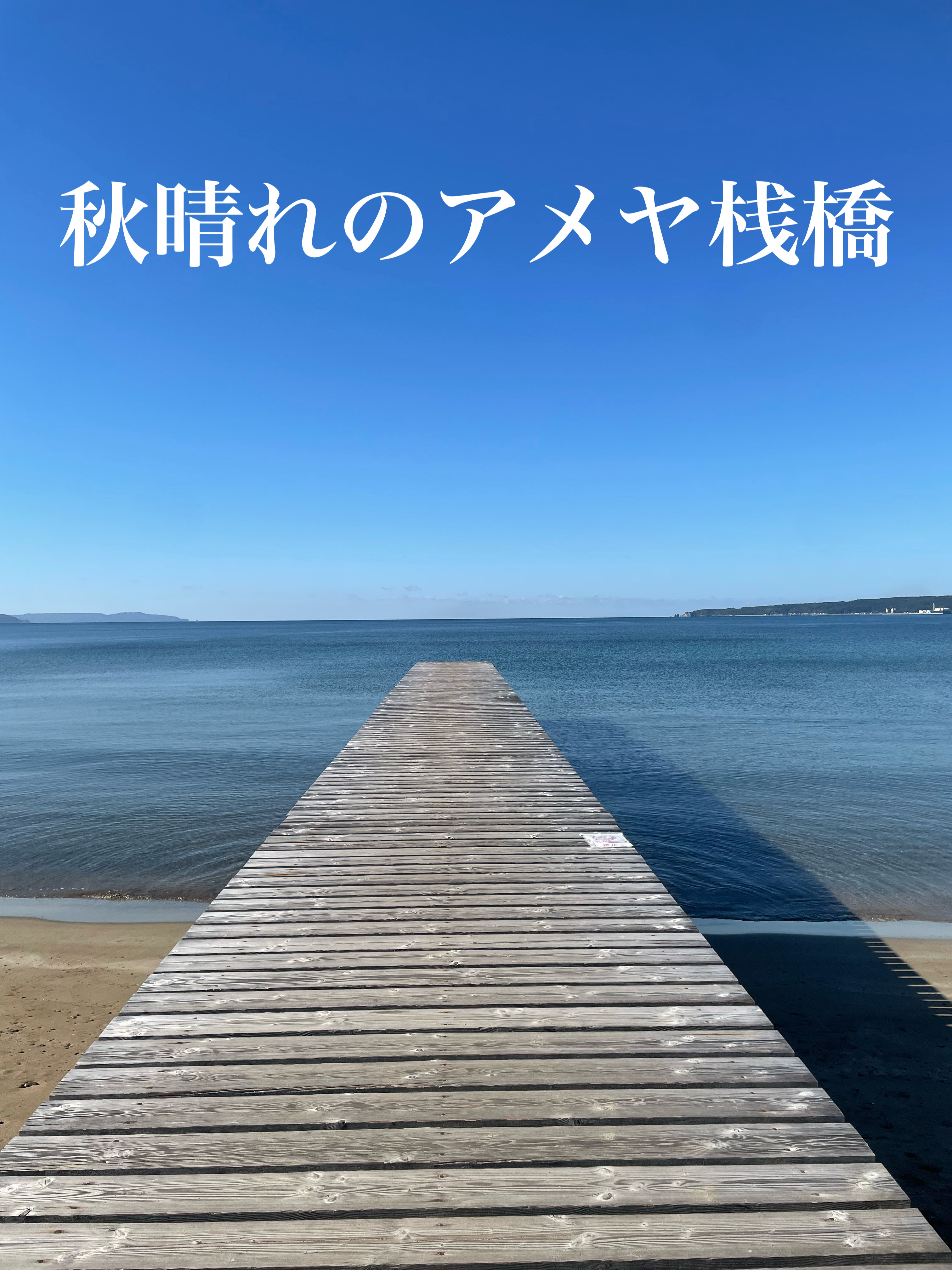 心地よい秋晴れのアメヤ桟橋から、季節のご挨拶をお届けします