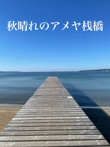 心地よい秋晴れのアメヤ桟橋から、季節のご挨拶をお届けします