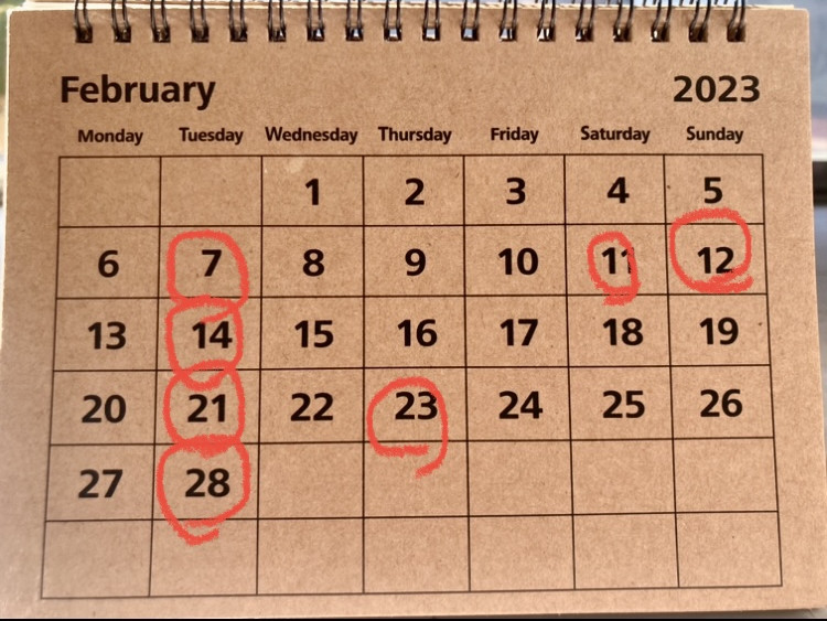 February  2023/2