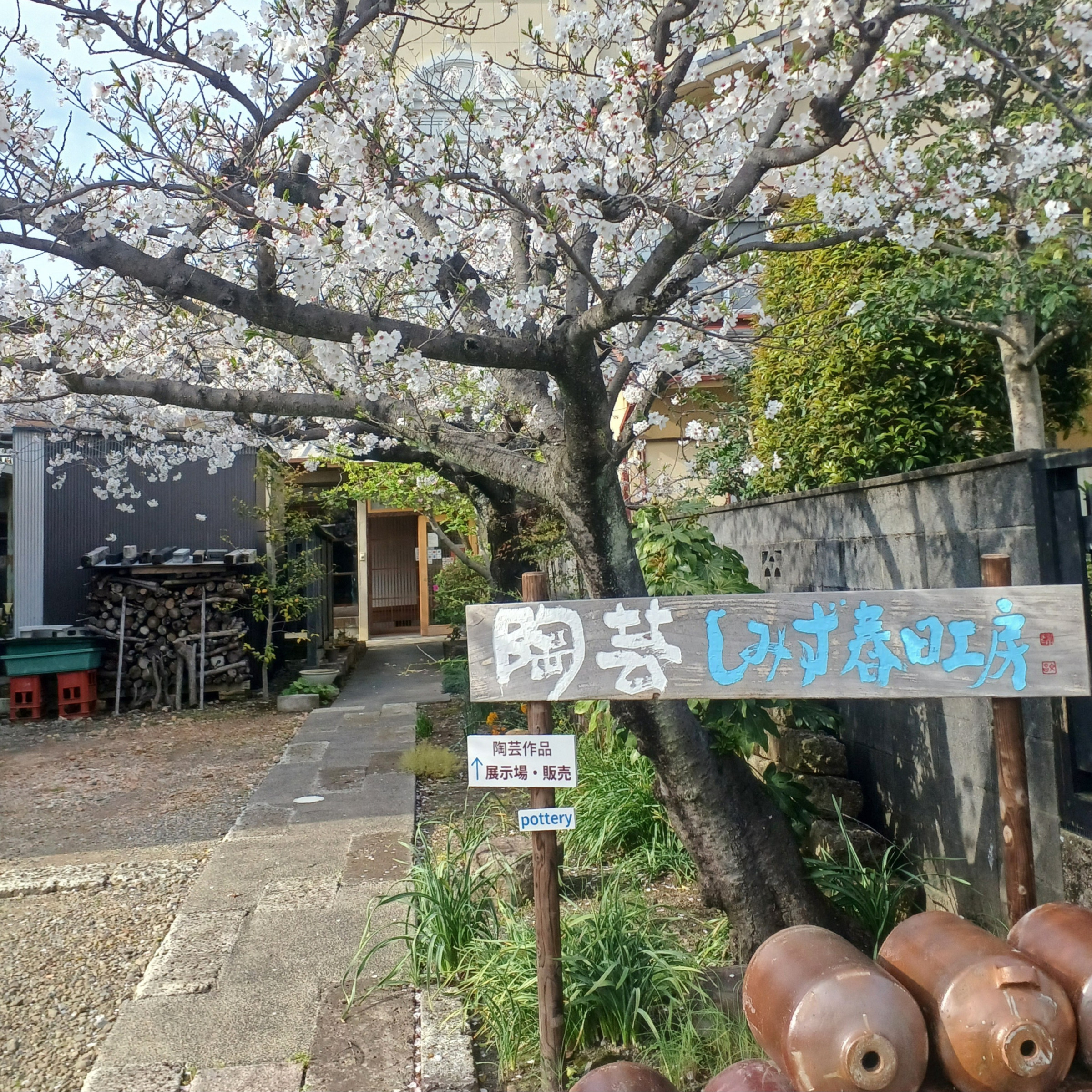 工房前 春