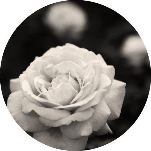 パーティールームHANA

⁡