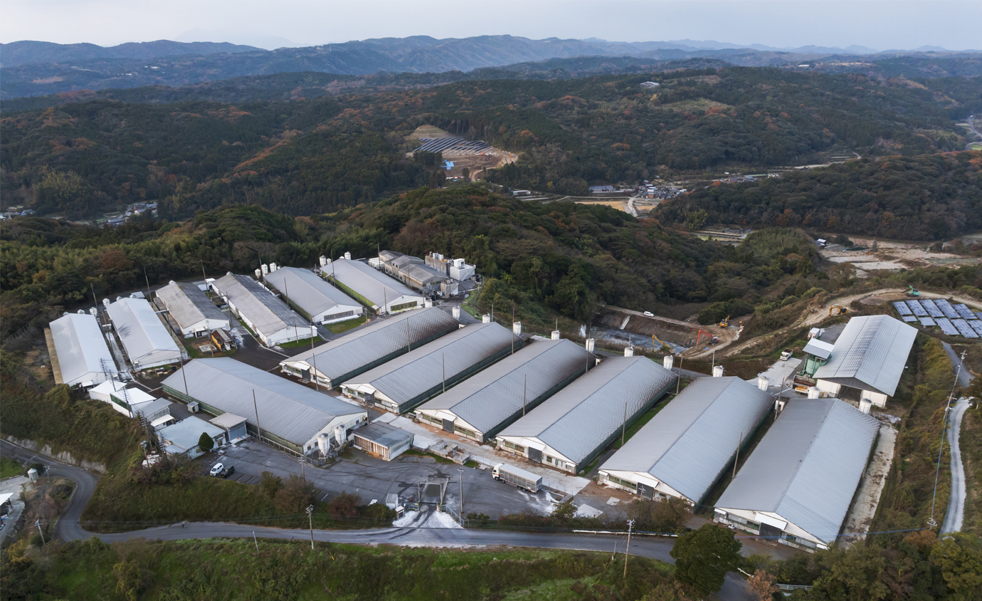 安岐農場