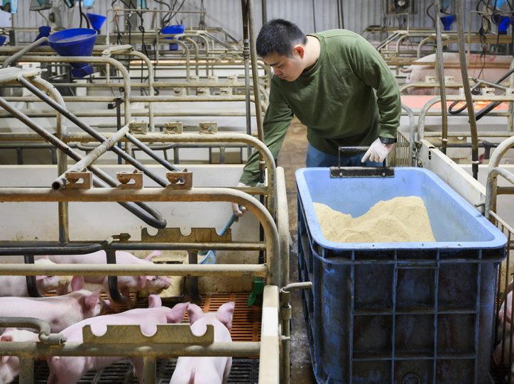 玉名農場 飼料タンク