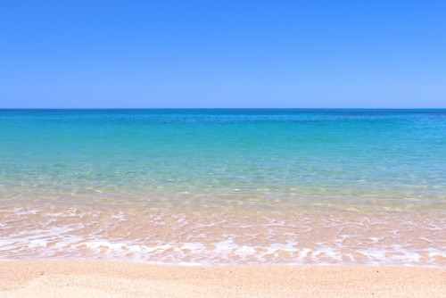 皆んなで集まろう夏のグループレッスン🏖️