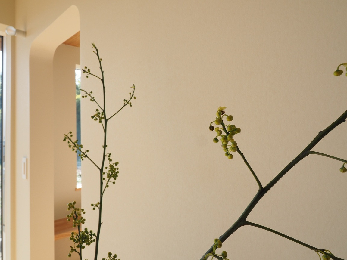 P1185441.JPG