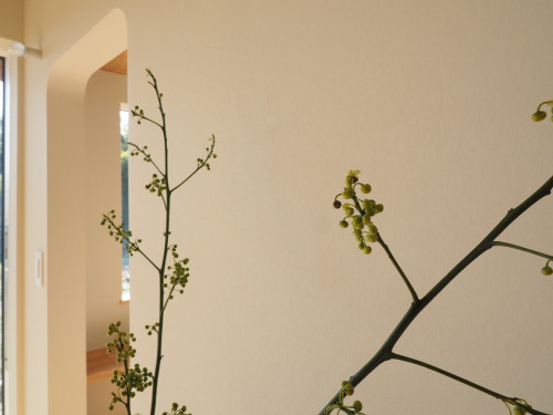 P1185441.JPG
