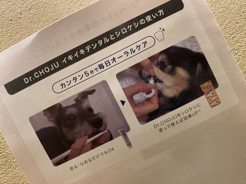 DCDAC90E-2E63-4E11-9ACA-2C1427D9FC50.jpeg