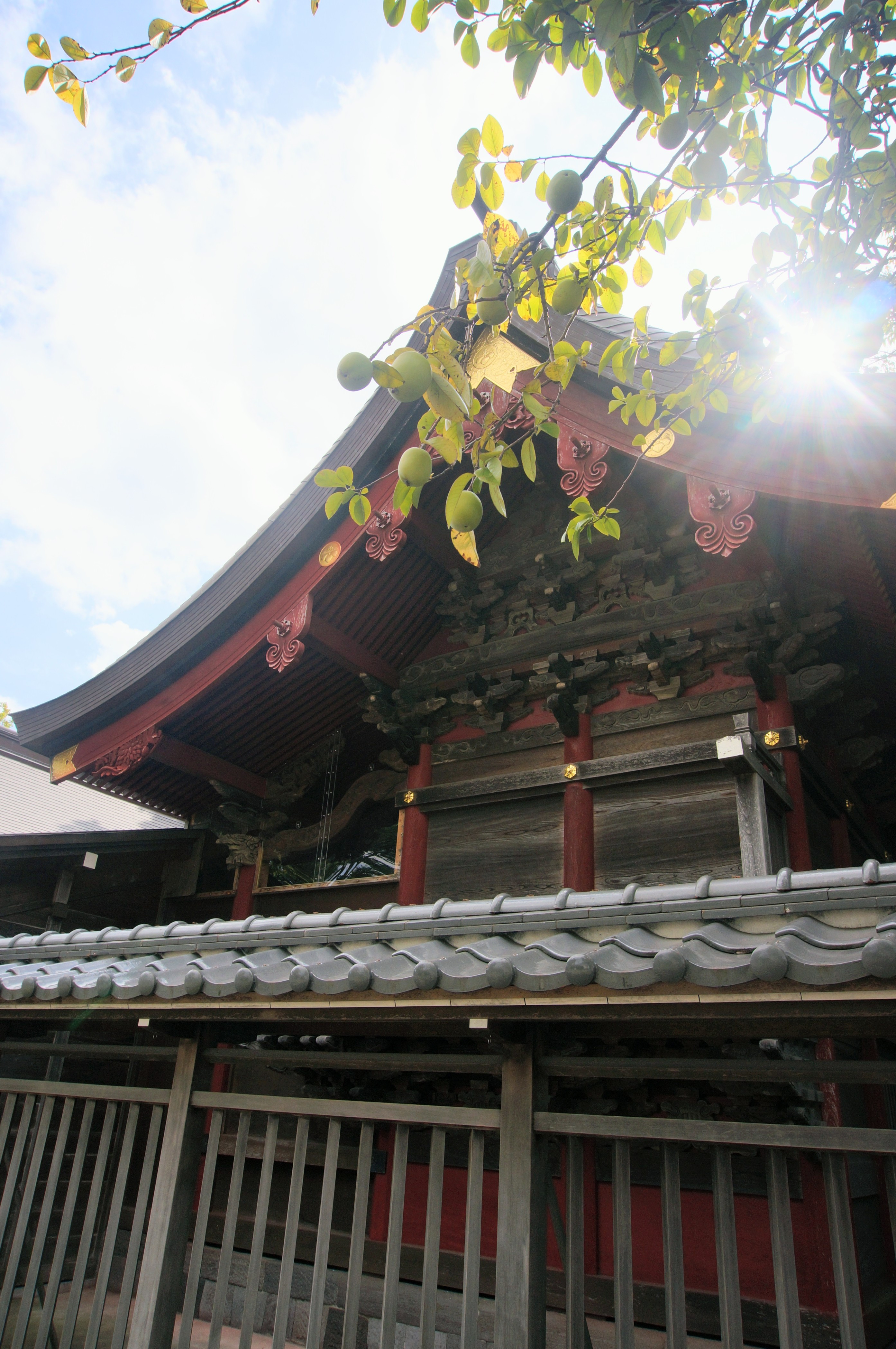 DSC03103~2.JPG