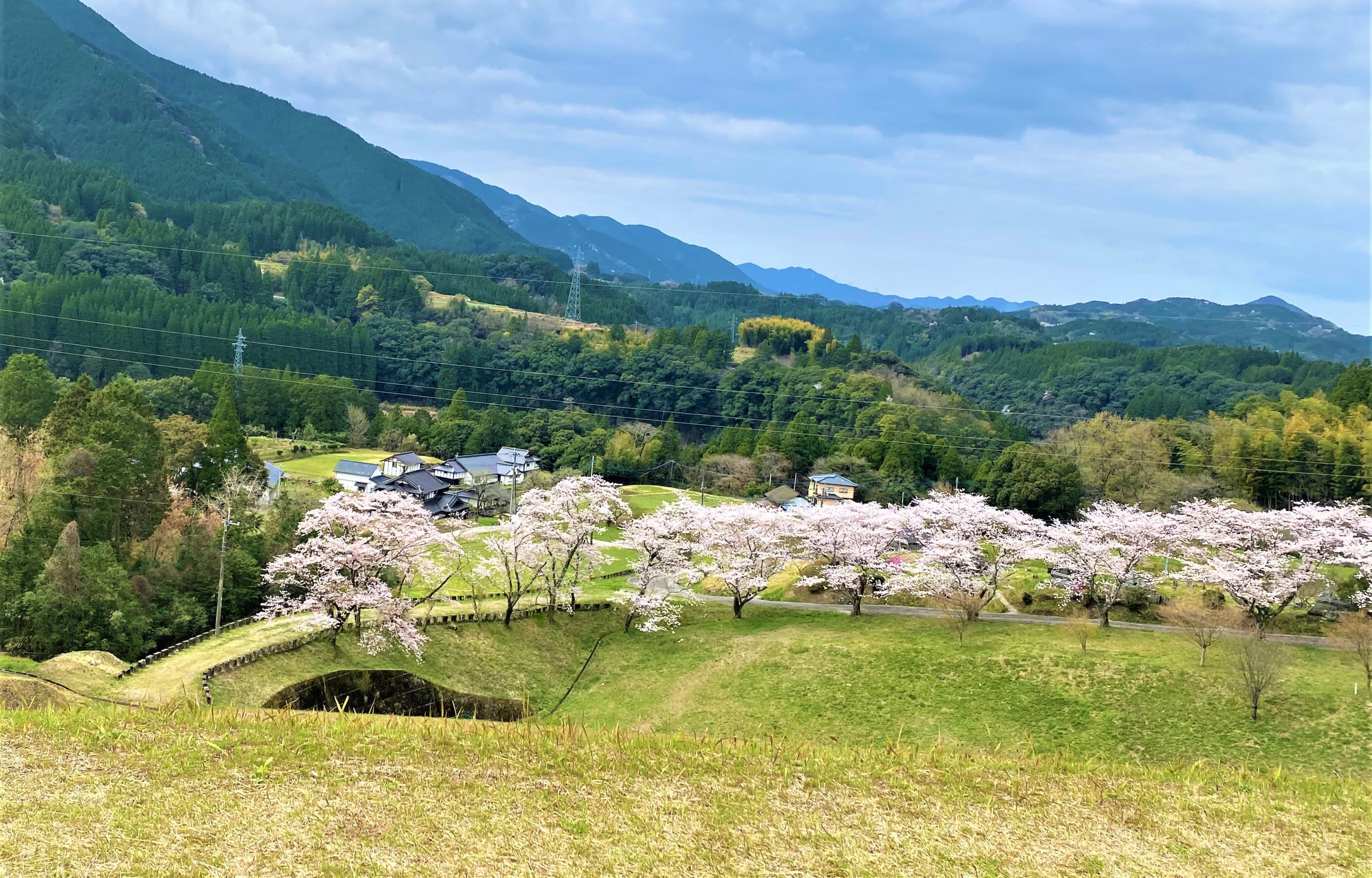 桜の季節　里山の風景