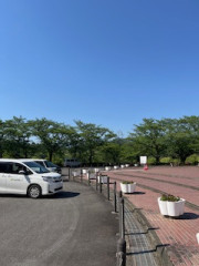 image1 (004).jpeg