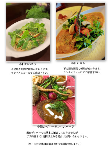 IMG_8881.jpeg