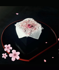 枡ティラミス　左近の桜