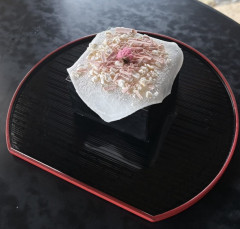 佳子内親王殿下お手植え記念　枡ティラミス  左近の桜　（季節限定）