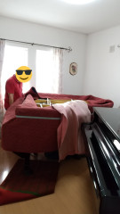 IMG_20220531_131651.jpg