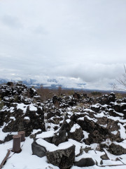 PXL_20250329_041536670.jpg