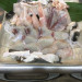 S__32440328.jpg