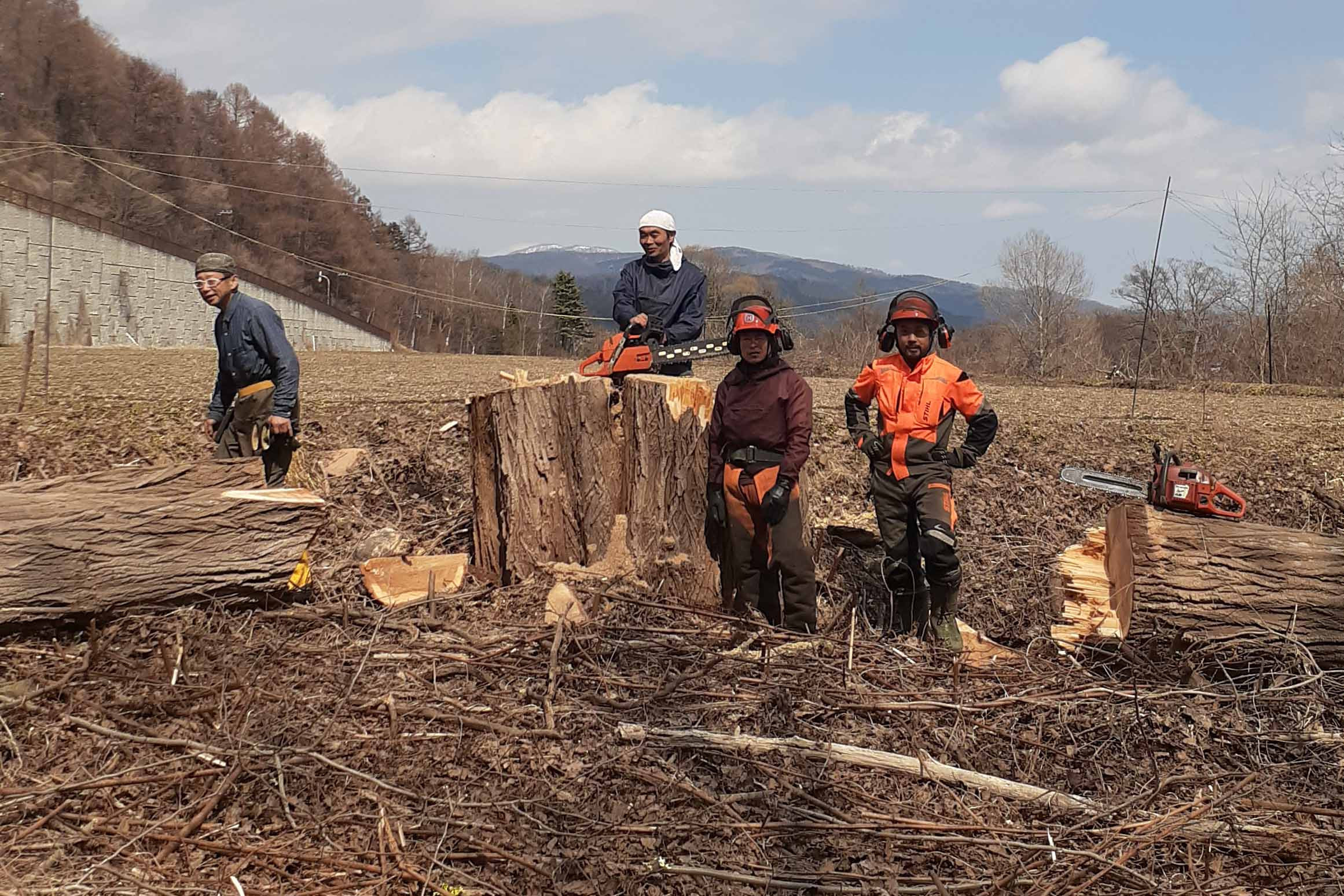 立木伐採処理：壮瞥町滝之町