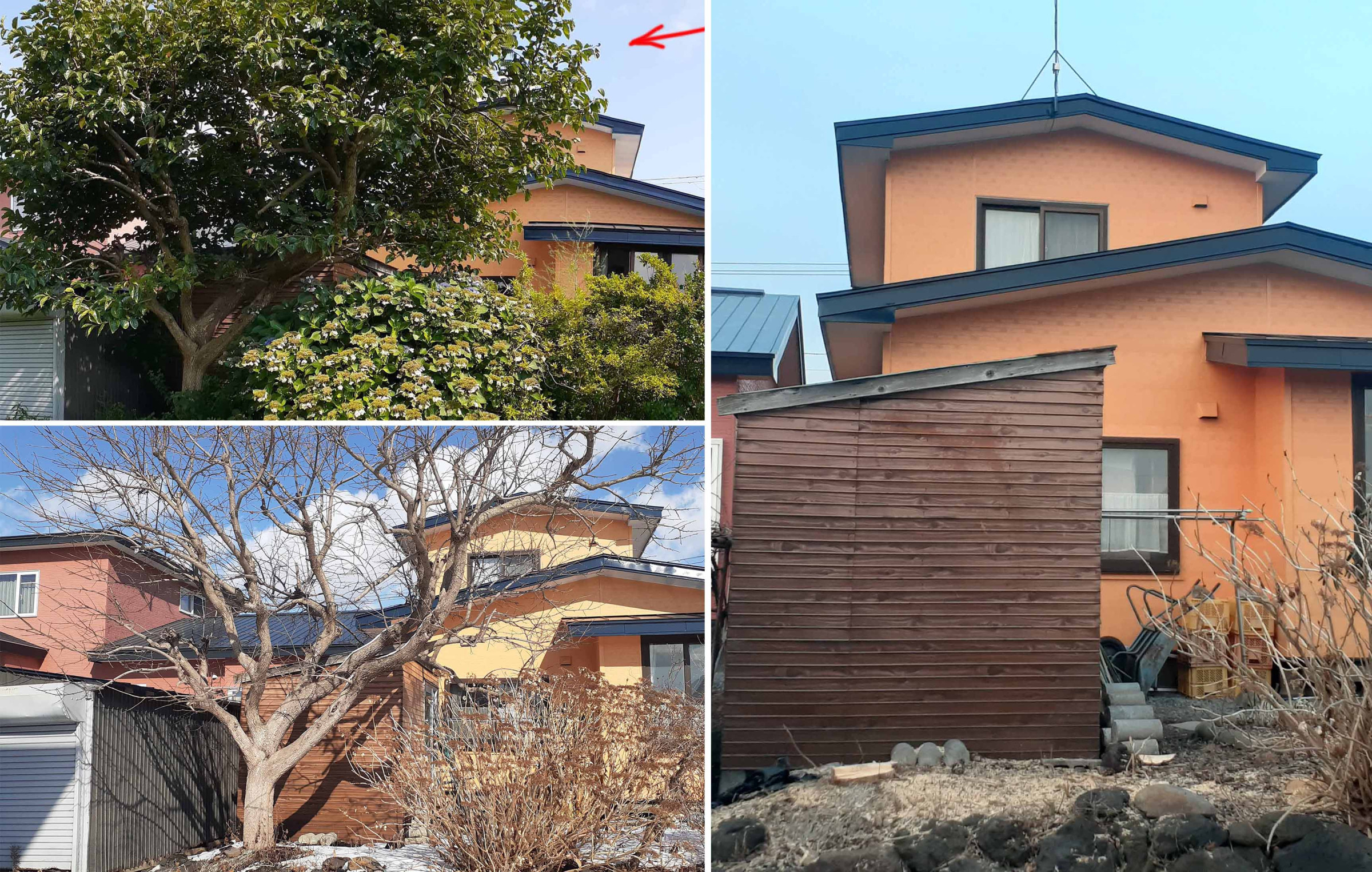 庭木処理：伊達市館山下町