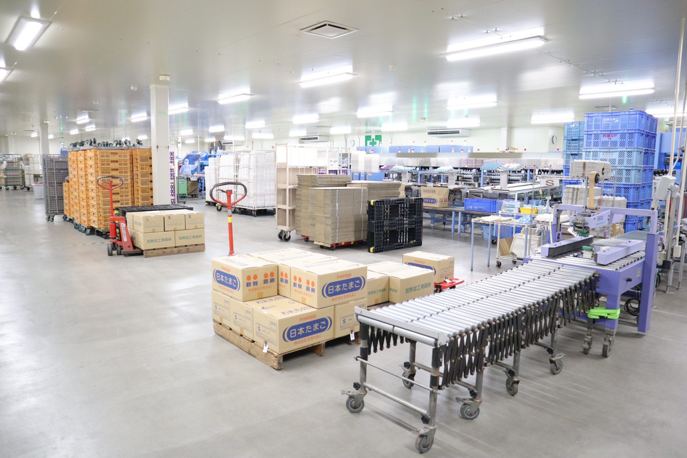 たまごのことなら 株式会社日本たまご