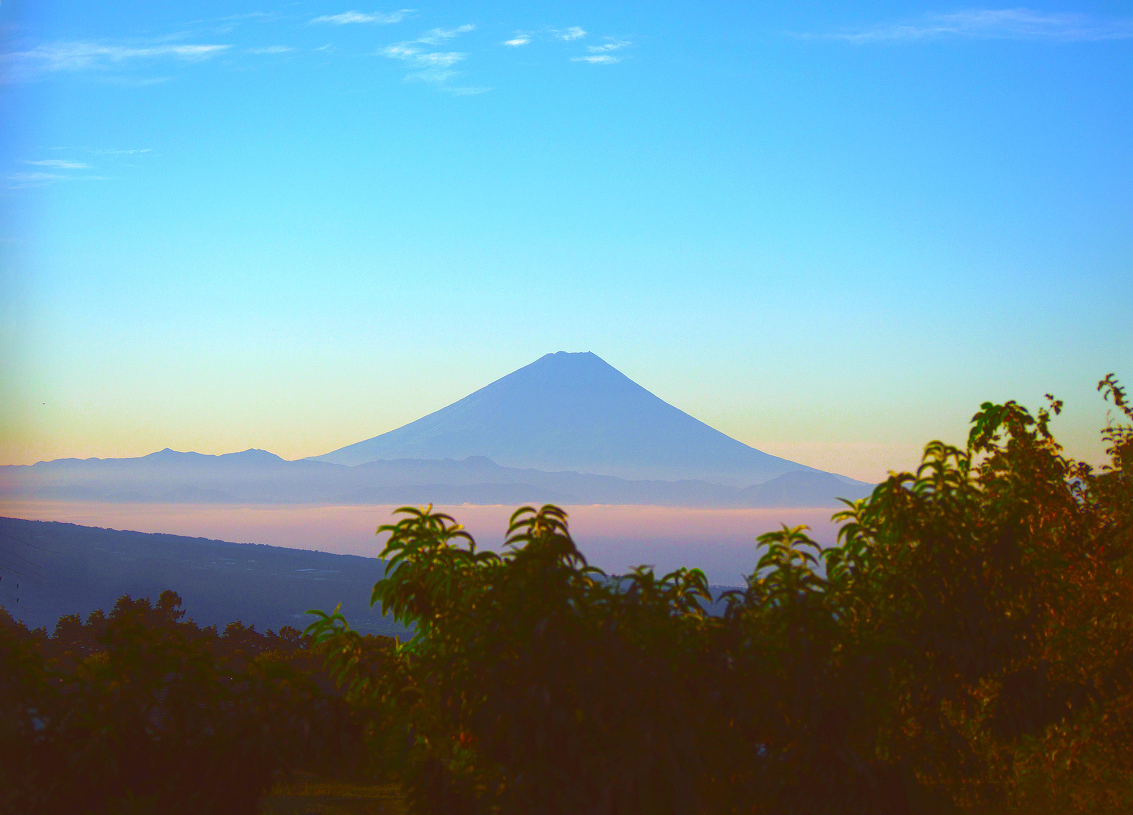 富士山