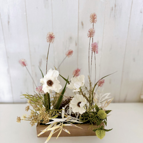 10月　ミニレッスンのお知らせ