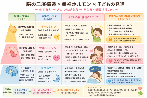 脳とホルモンの三層構造×子どもの発達.png