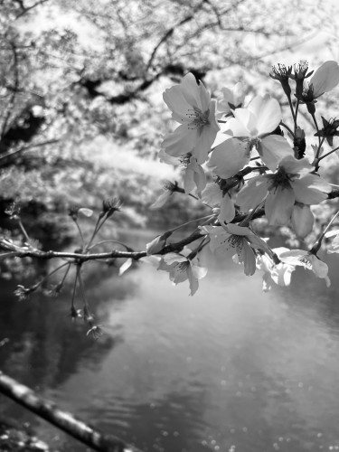 IMG_1102.jpeg