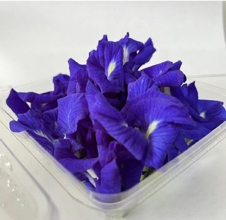 バタフライピー八重咲