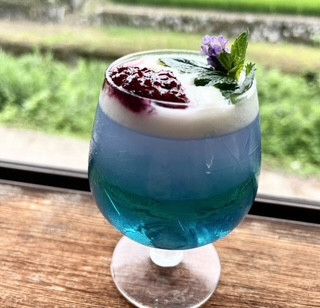 バタフライピー濃淡二層ゼリー