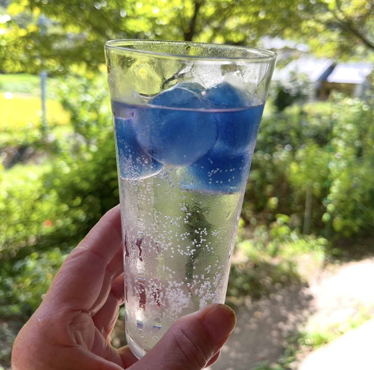 夏のドリンク