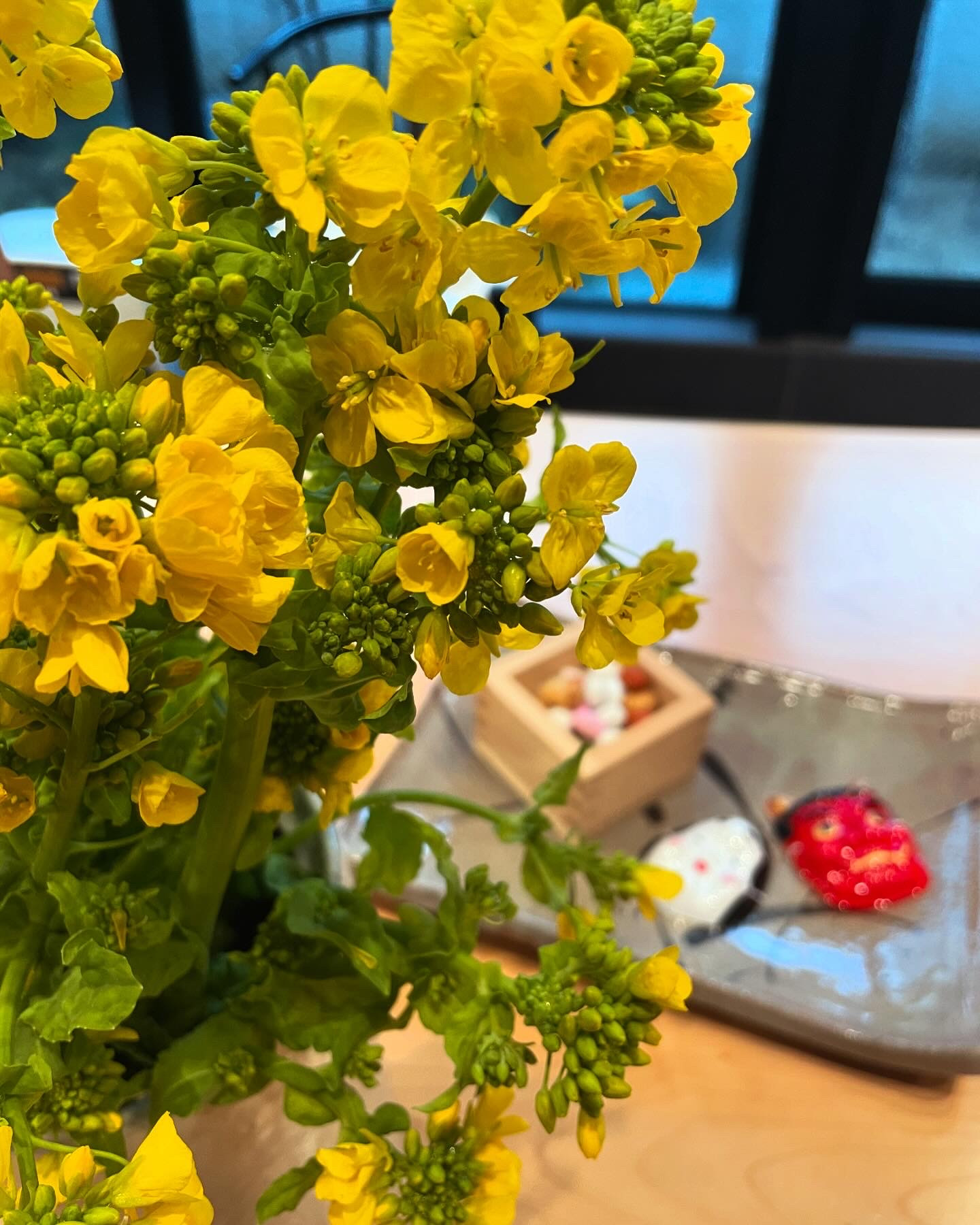 2月になりました🌸