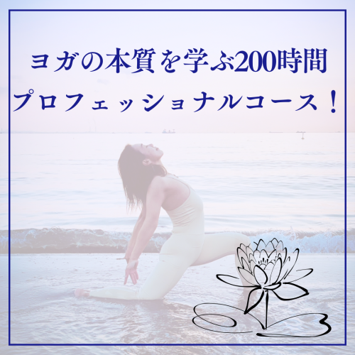 2178251D-A80D-4B8F-8D9A-7241A46815B5.png