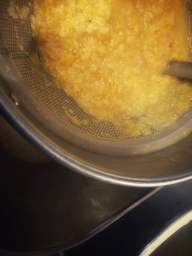 20220603_114908-01.jpeg