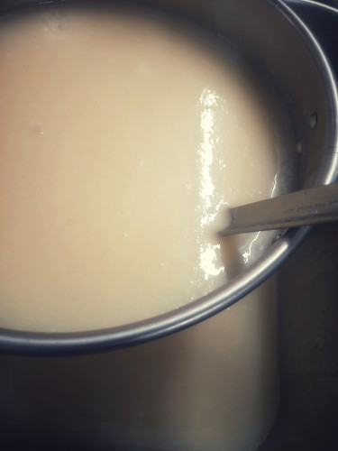 20220826_091623-01.jpeg