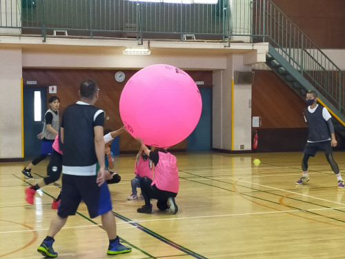 IMG20221106140749.jpg