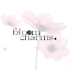 Bloom & Charms Aesthetic