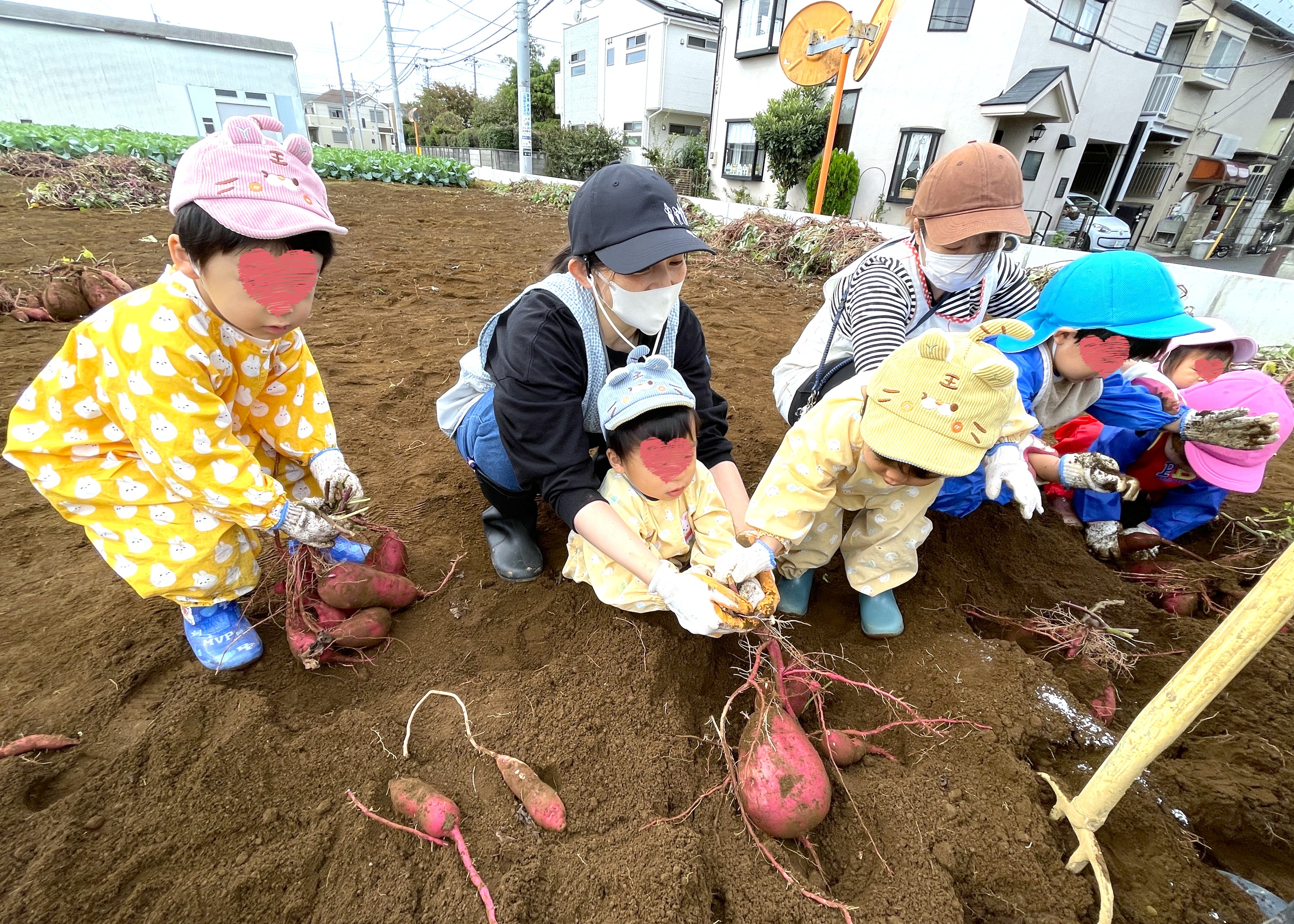 お芋ほり：いっぱいとれたよー！