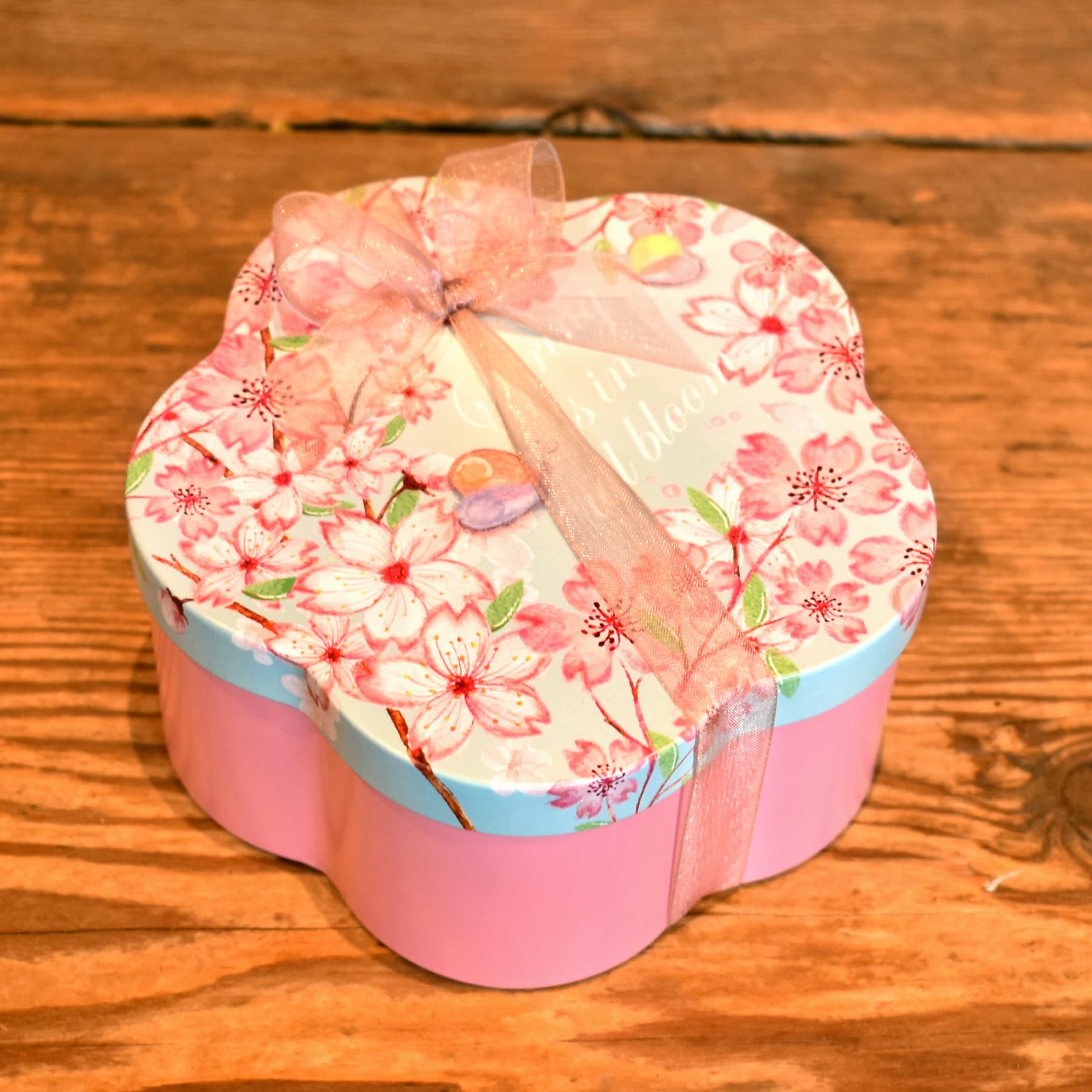 春焼菓子ギフト