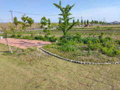IMG_20220504_161843.jpg